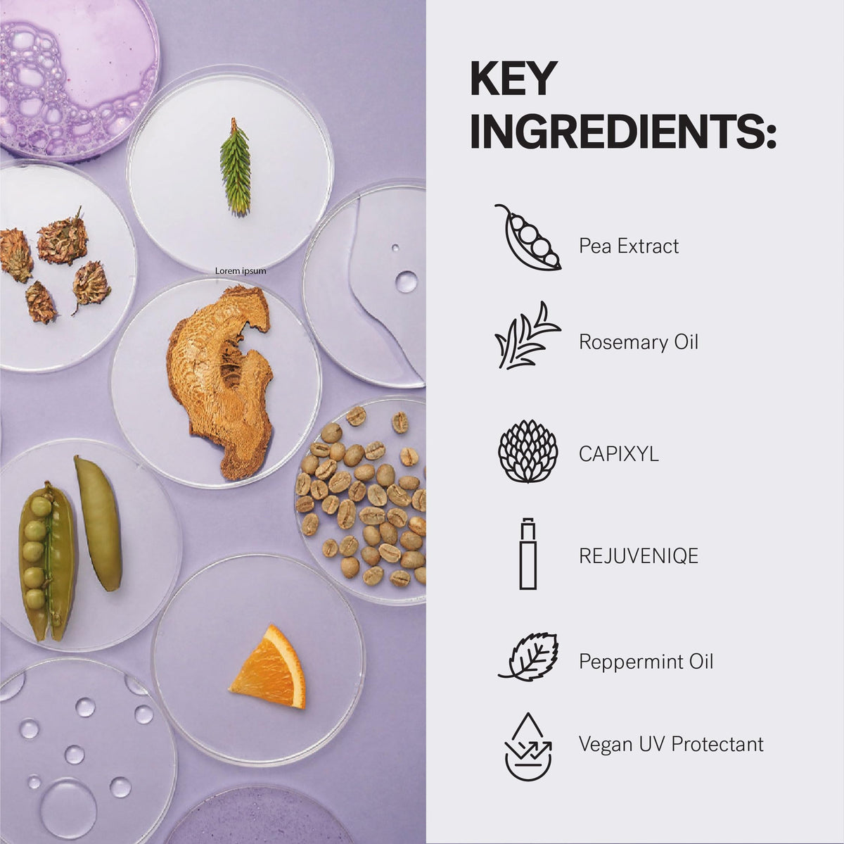 MONAT product staged with rosemary and mint for natural-scent benefit