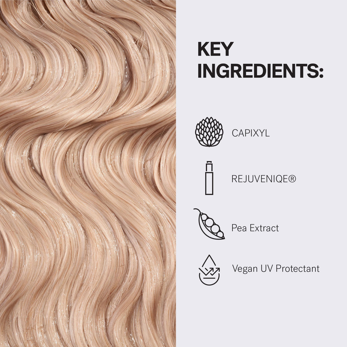 MONAT bottle beside a ruler showing 237ml size for travel-friendly volume care