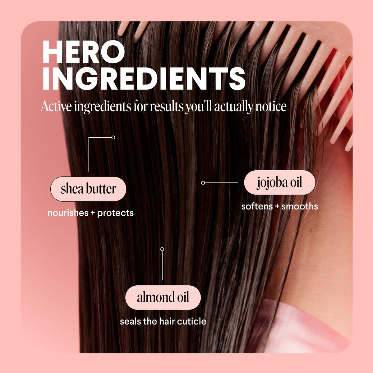 MONDAY HAIRCARE display of jojoba and shea ingredients highlighting natural nourishment benefits