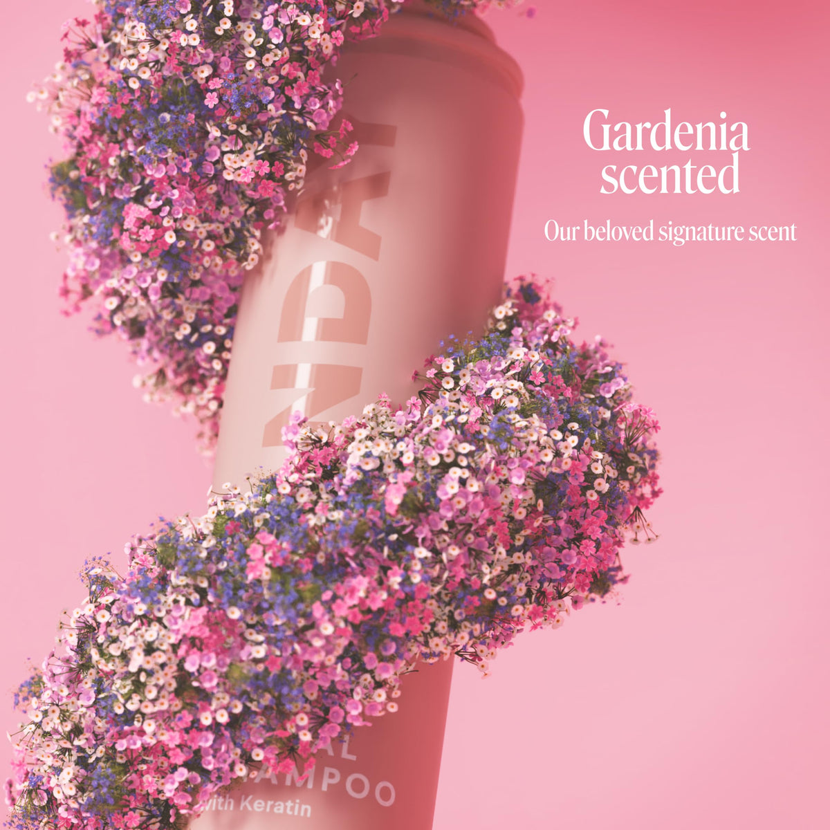 MONDAY HAIRCARE BRUNETTE powder texture close-up illustrating blendable formula benefit