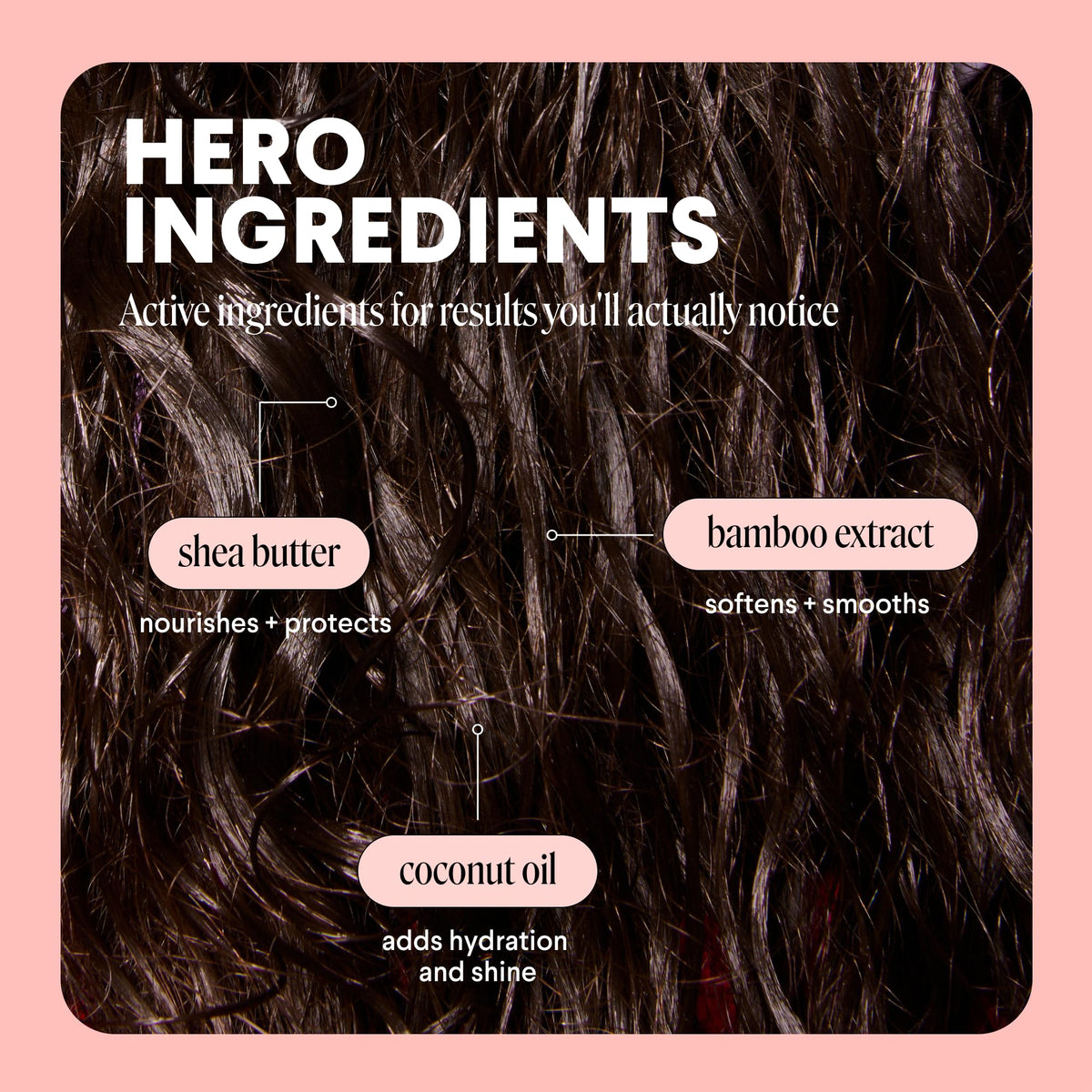 MONDAY HAIRCARE coconut oil and shea butter close-up for deep nourishment