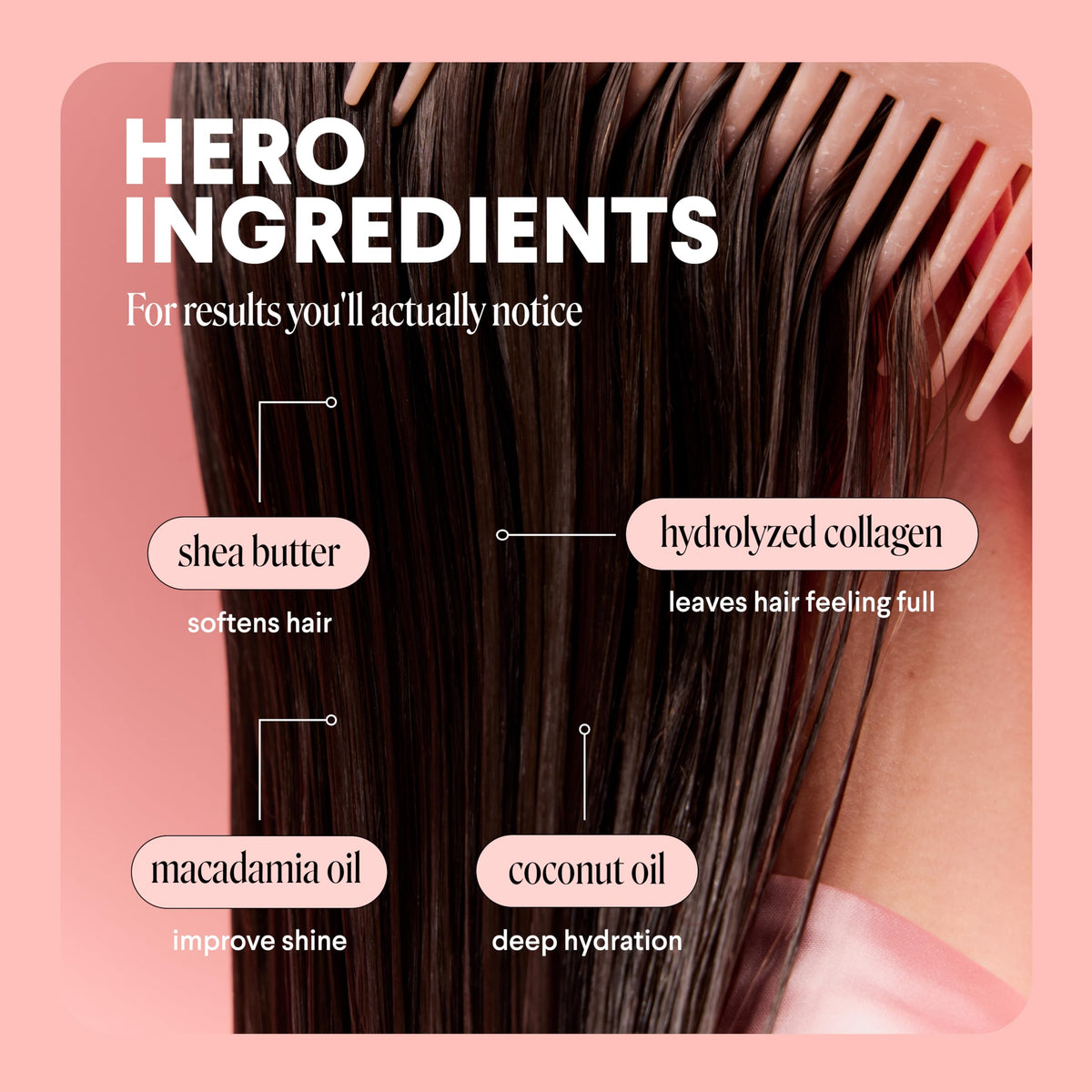 MONDAY HAIRCARE collagen and macadamia ingredients displayed for nourishment
