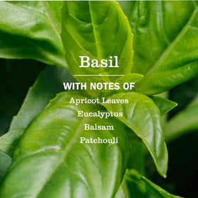 Mrs. Meyer's basil pump close-up highlighting easy-dispense pump and controlled dosing