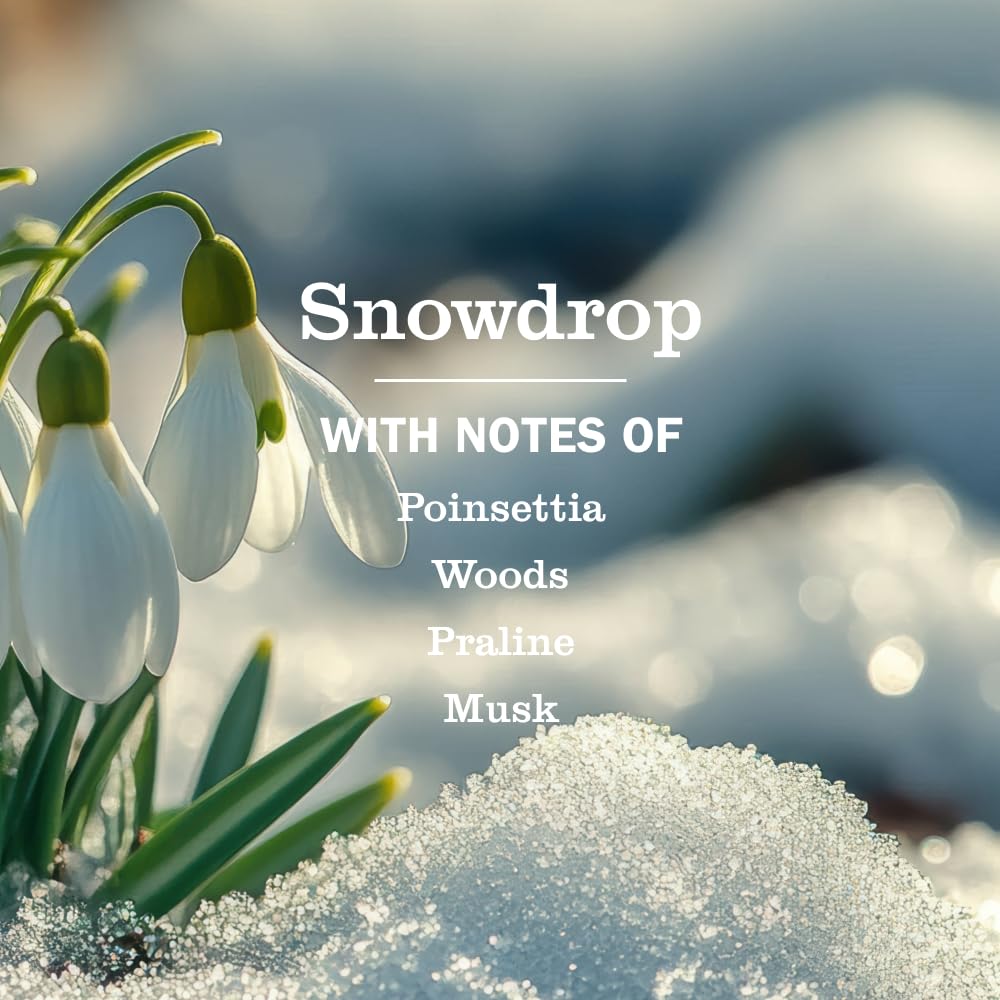 Mrs. Meyer's snowdrop refill pouring into a dispenser, easy transfer and less waste