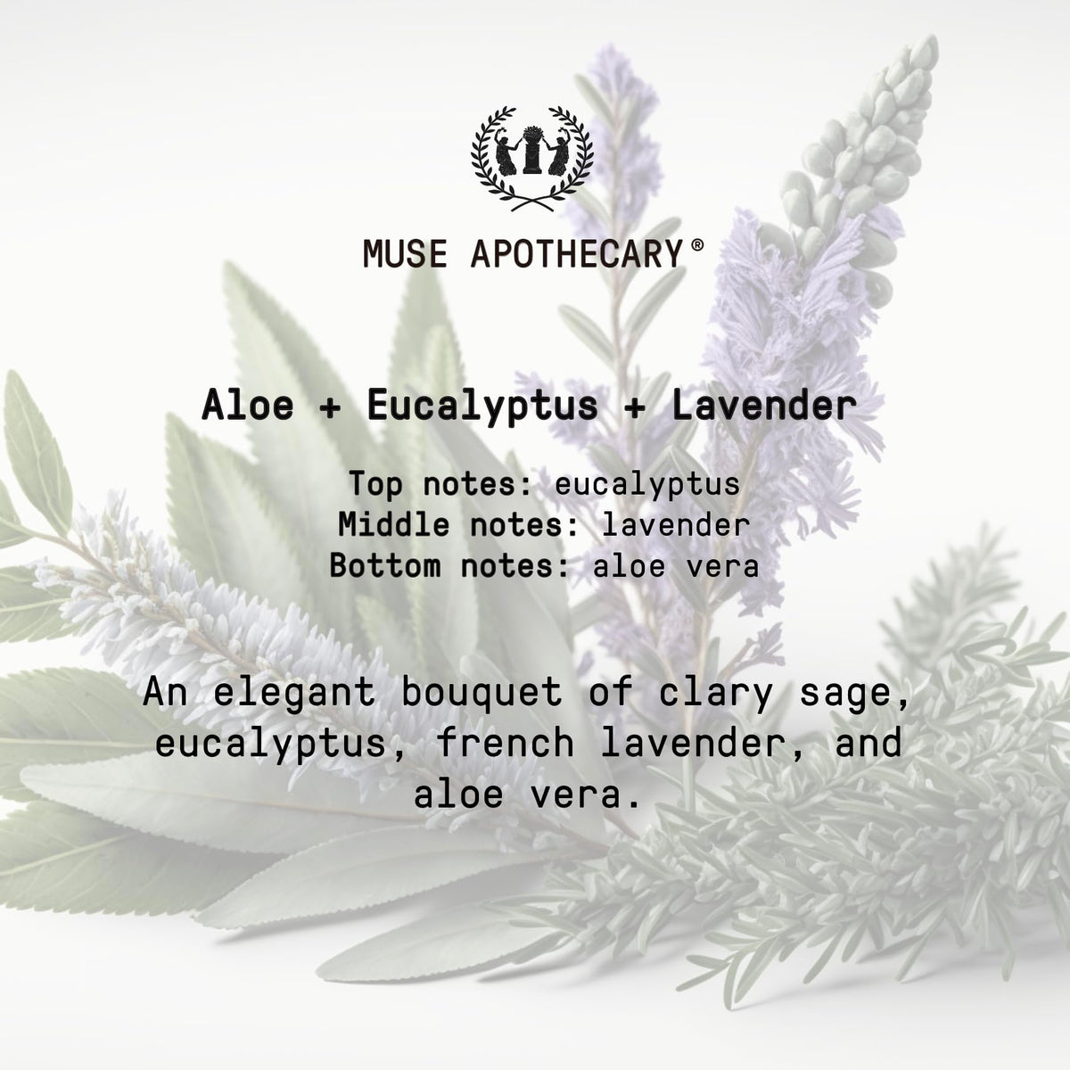 Muse Apothecary gift packaging ready to present as thoughtful gift