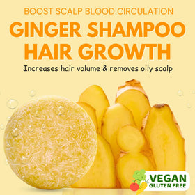 Muun ginger bar close-up texture highlighting concentrated extracts