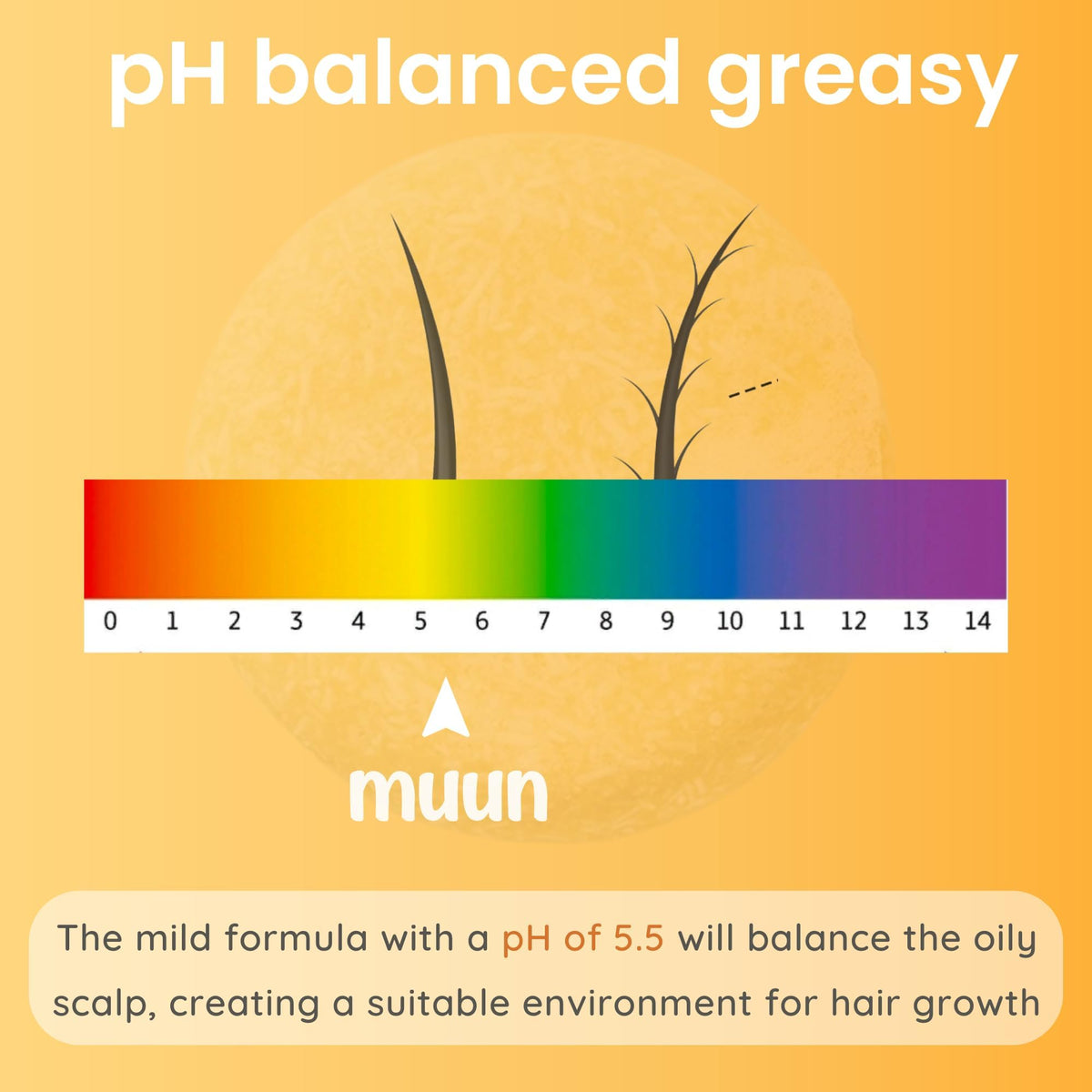 Muun packaging label details showing pH 5.5 and sulfate-free ingredient benefits