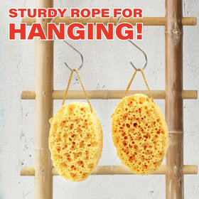 myHomeBody loofah hanging to dry to prevent odors and prolong life