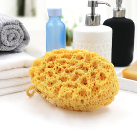 myHomeBody loofah next to hand and soap for clear size comparison