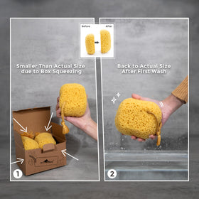 myHomeBody sponge held in hand to show large size and comfortable grip