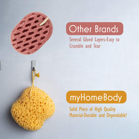 myHomeBody two sponges stacked to display extra supply and convenience