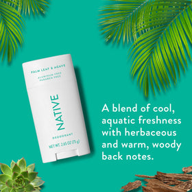 Native deodorant ingredients with shea butter and coconut for skin nourishment