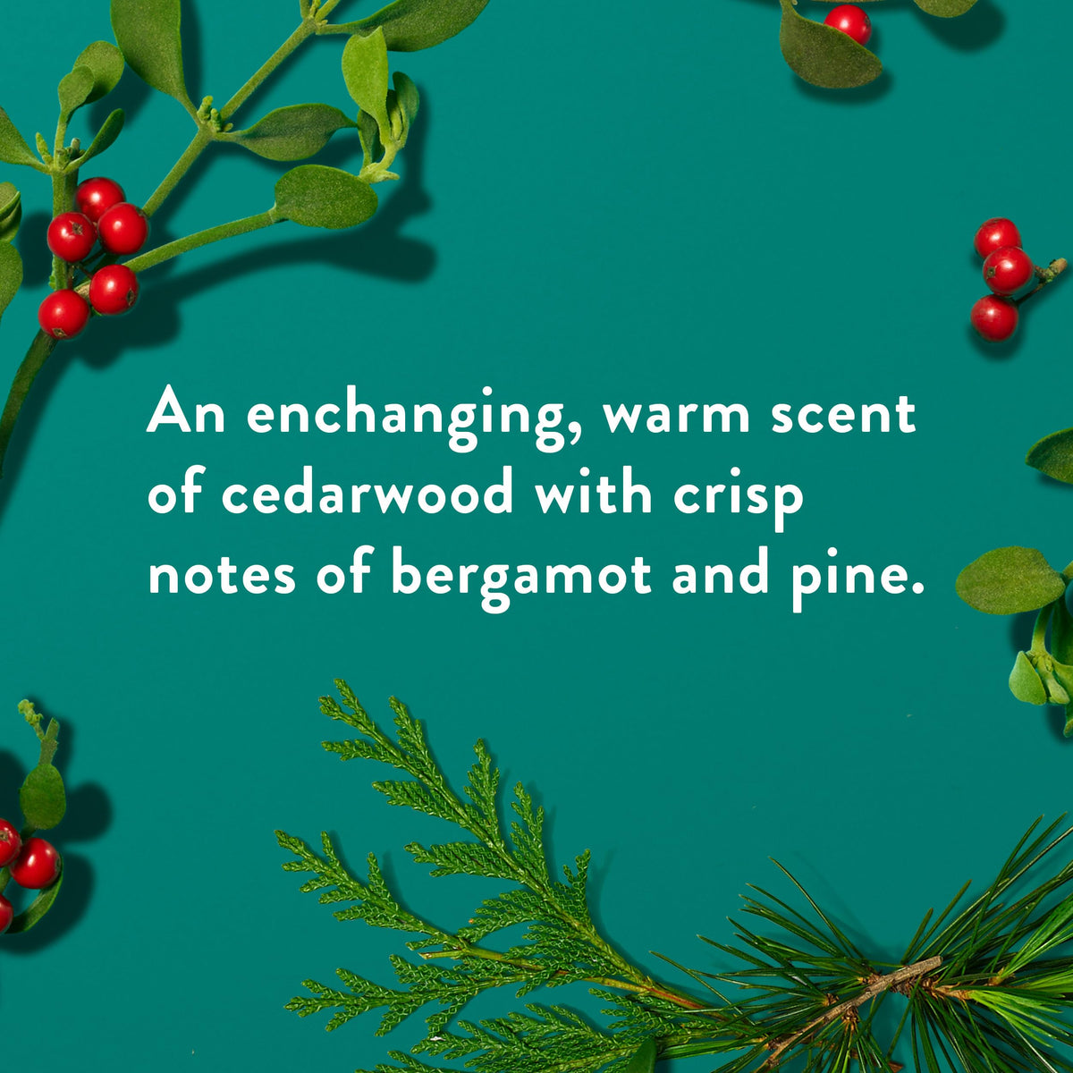 Native ingredients flatlay including witch hazel and plant extracts for natural feel