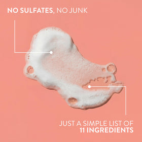 Native ingredient display with coconut and salts showing naturally derived benefit