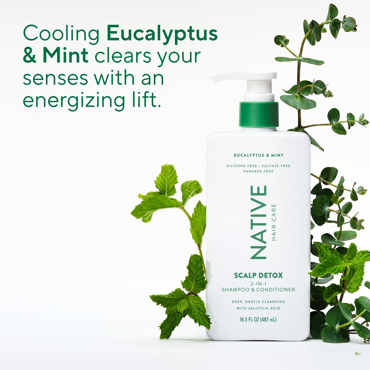 Native eucalyptus and mint ingredients staged, highlights refreshing scent benefit