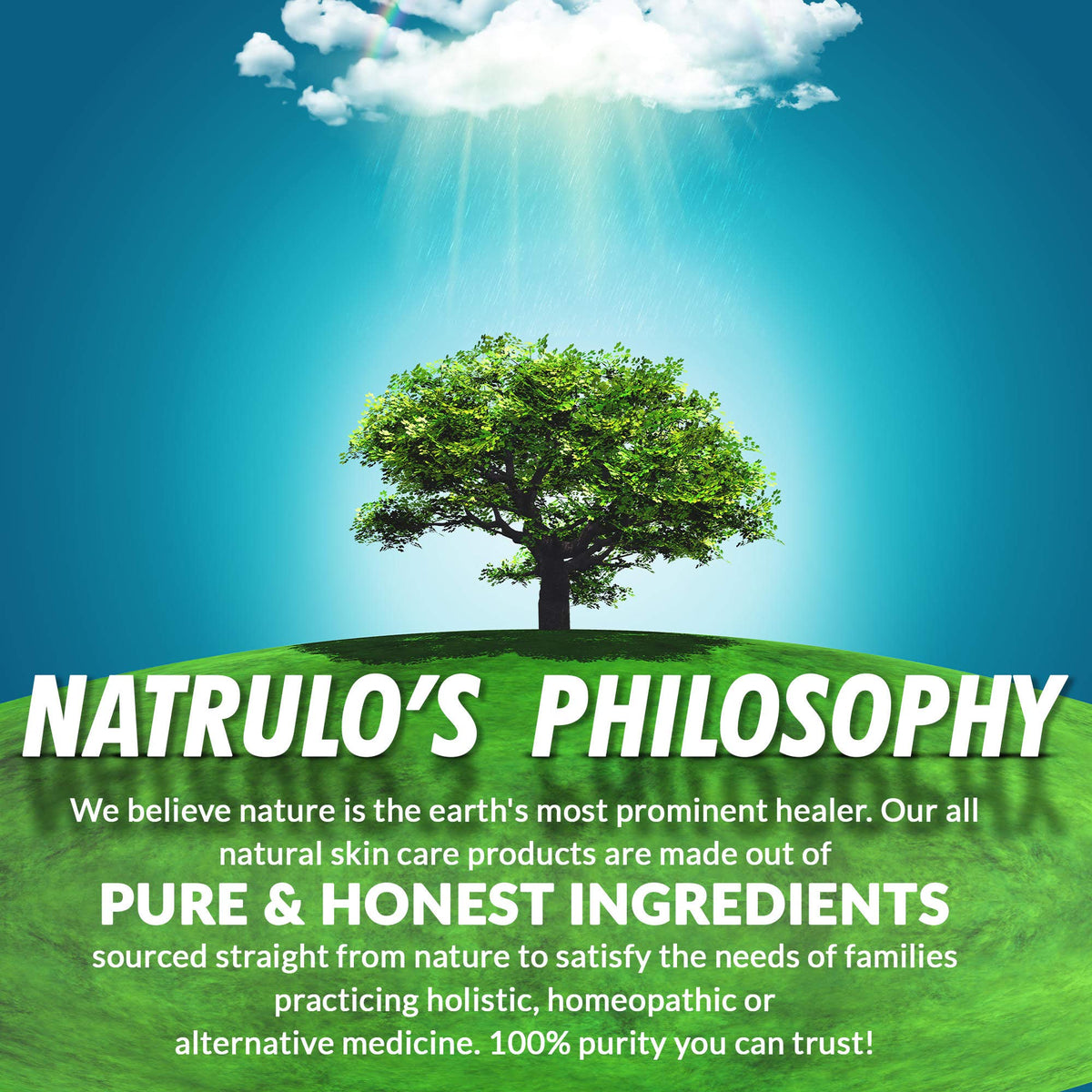 Natrulo ingredients flatlay displaying turmeric and botanicals for clean formulation