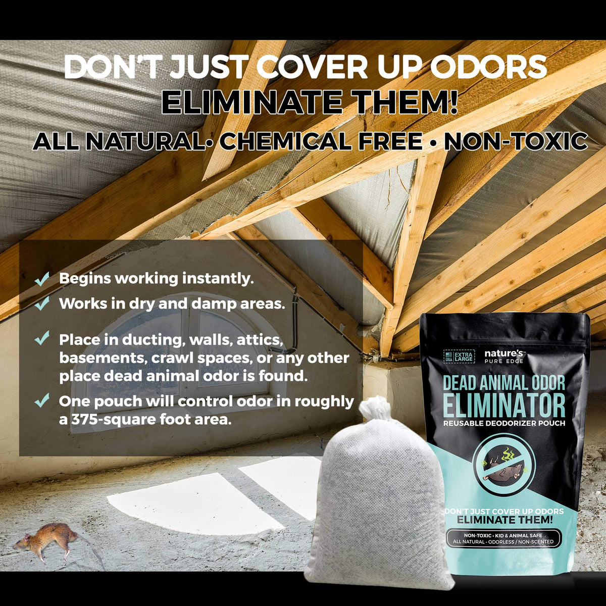Nature's Pure Edge pouch placed in attic demonstrating targeted odor control