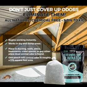 Nature's Pure Edge pouch placed in attic demonstrating targeted odor control