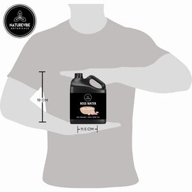 Naturevibe Botanicals mist setting makeup illustrating dewy finish and hold