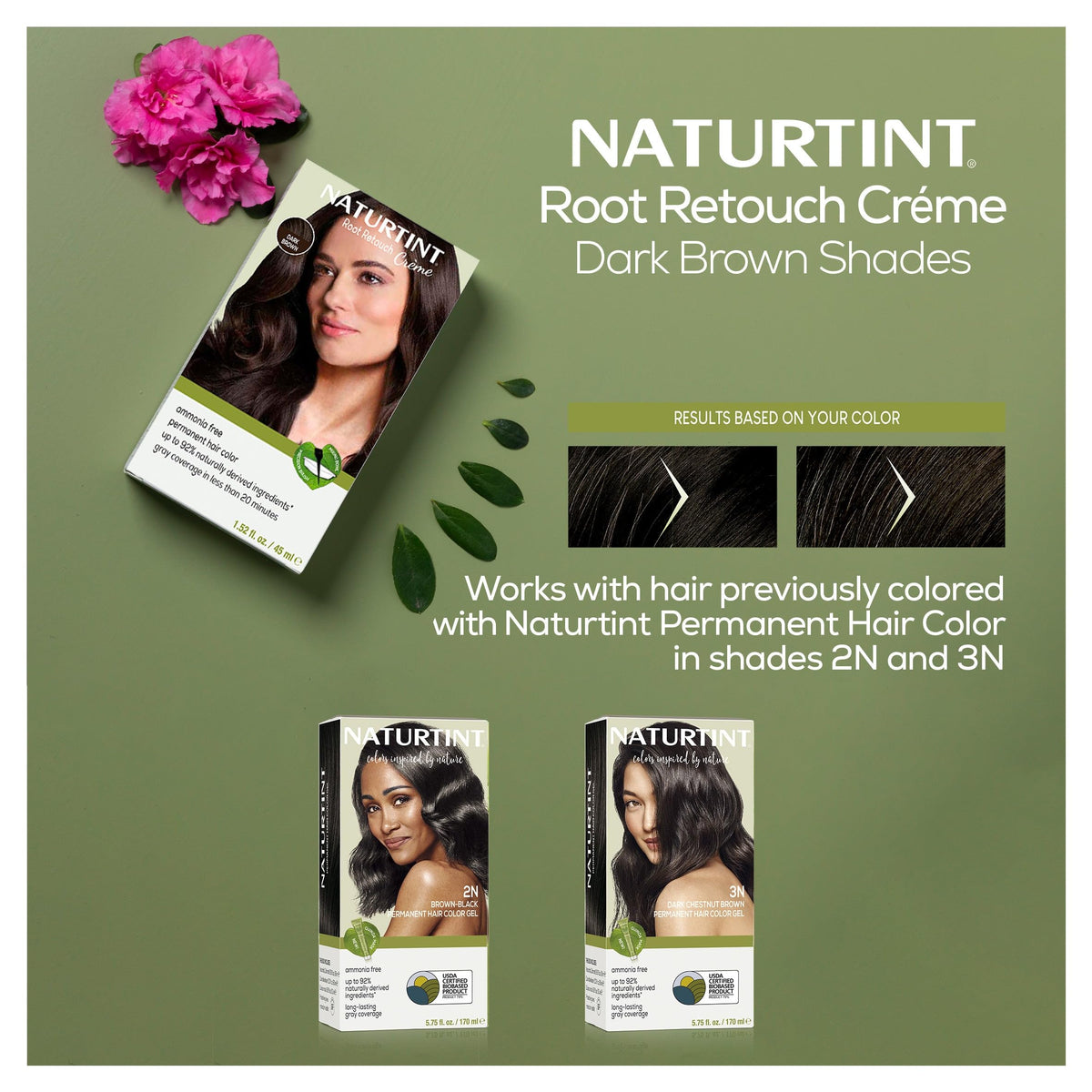 Naturtint precision brush applying color to roots for accurate gray concealment