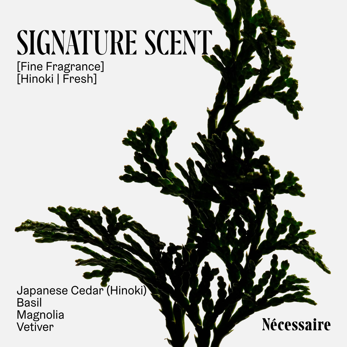 Nécessaire product label with ingredients list highlighting niacinamide benefit