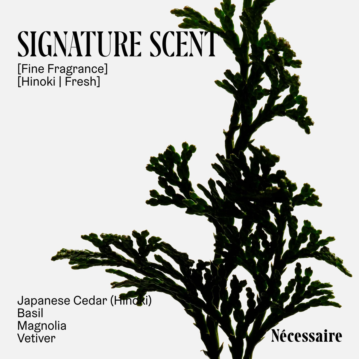 Nécessaire pump detail demonstrating easy dispensing and controlled use