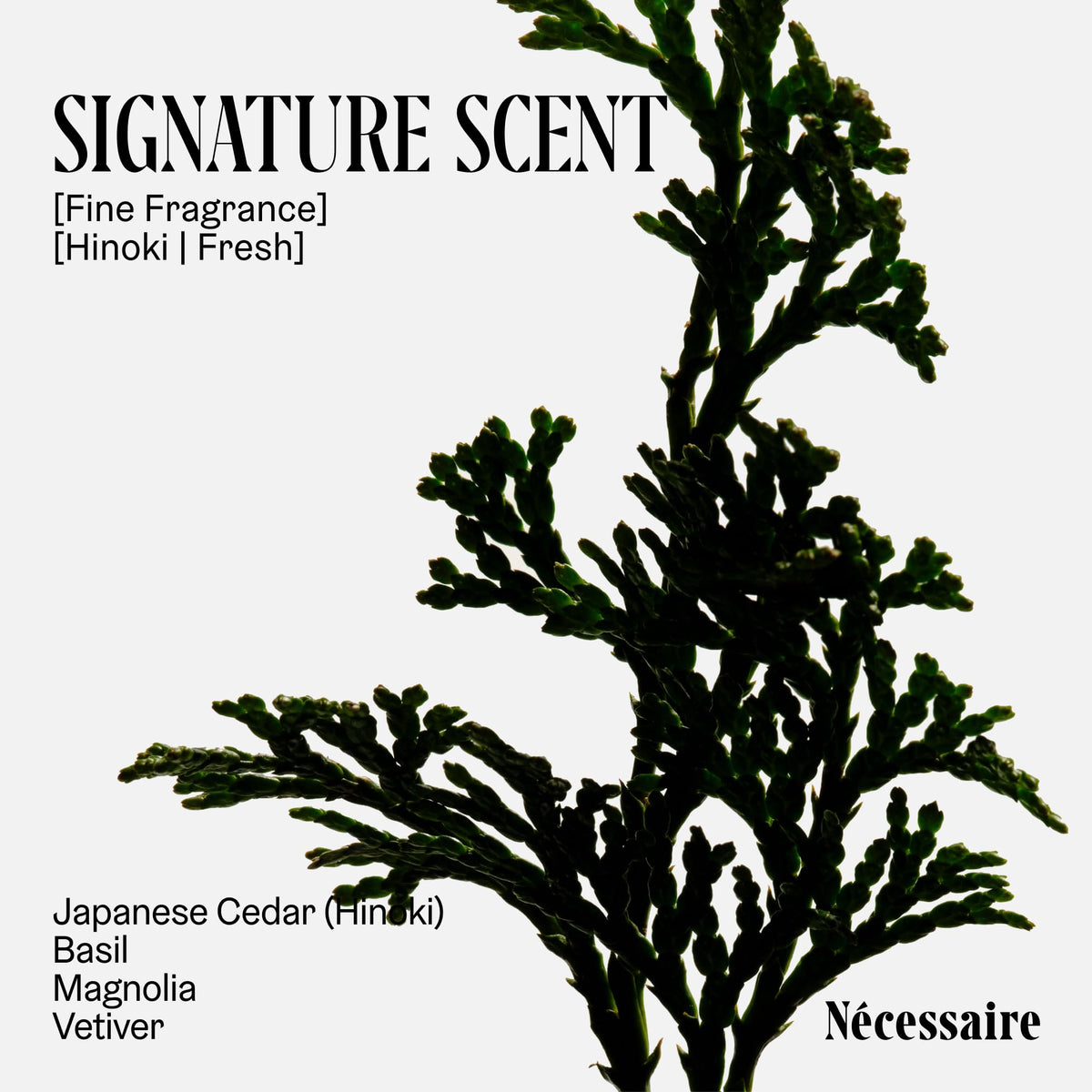 Nécessaire deodorant held in hand to show 75 g scale and portability