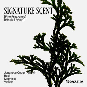 Nécessaire deodorant held in hand to show 75 g scale and portability