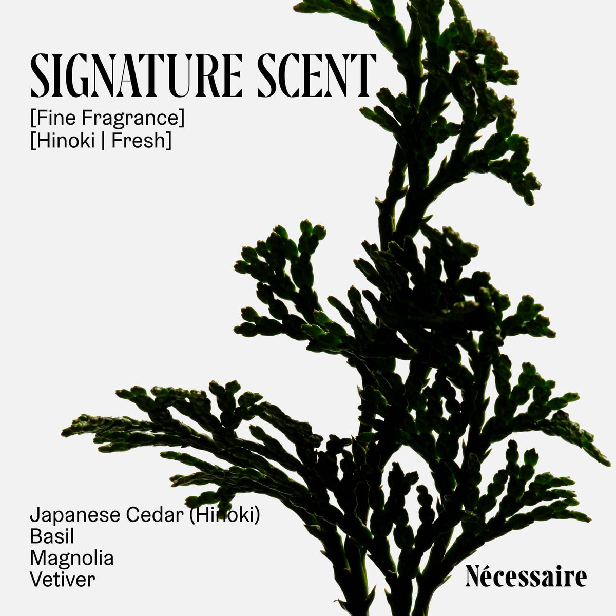 Nécessaire niacinamide ingredient visual emphasizing barrier-supporting benefit