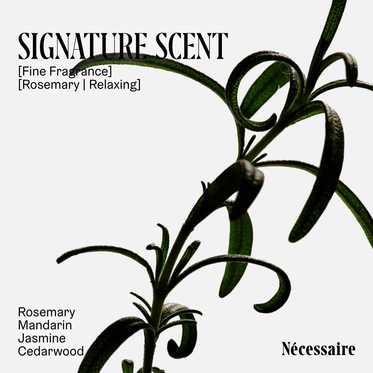 Nécessaire shampoo lather on wet hair demonstrating gentle cleansing benefit