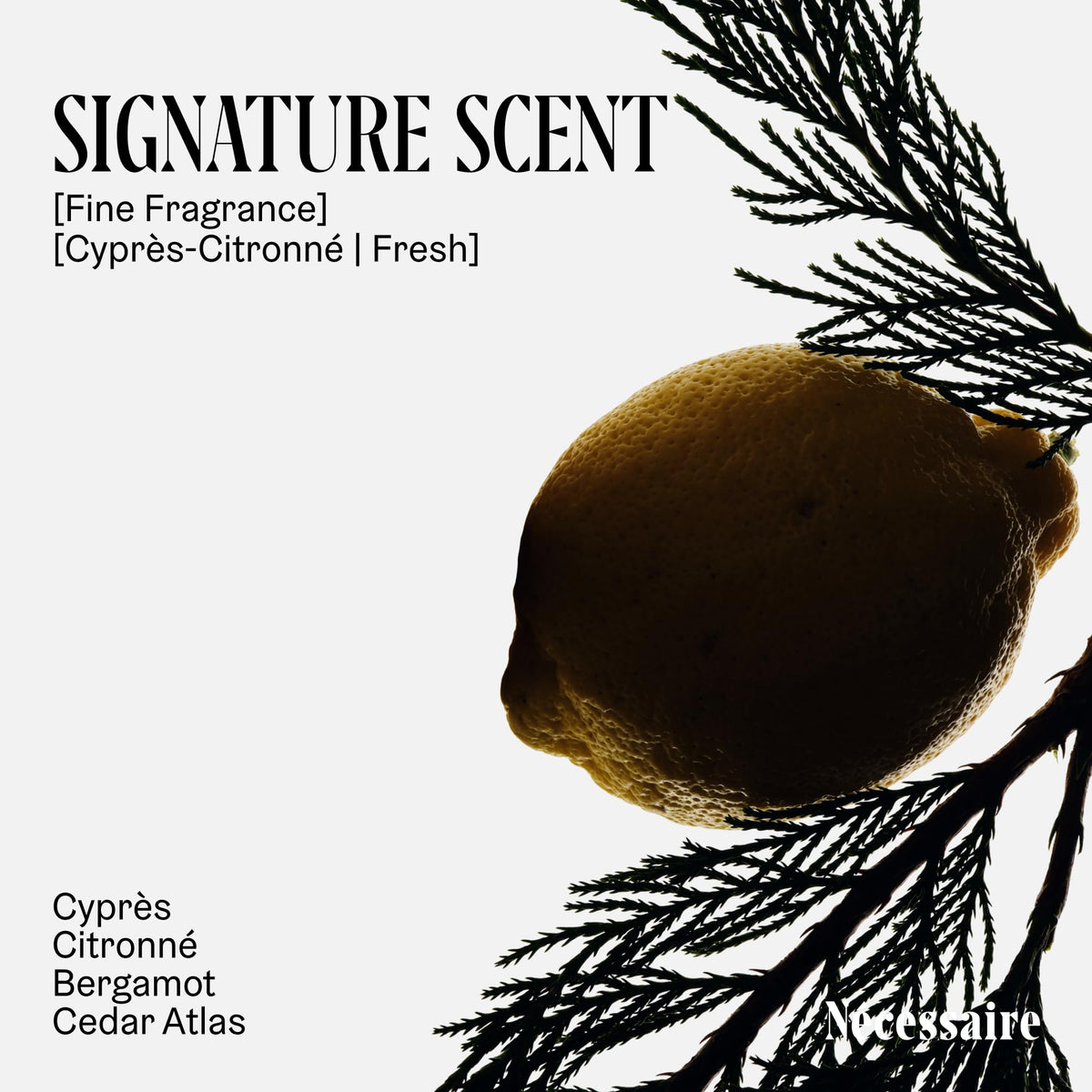 Nécessaire scent notes graphic conveying fresh citronné and woody balance