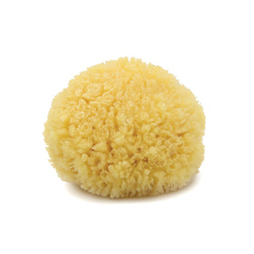 NEPTUNE front view of dry Caribbean sea sponge showing natural shape and eco benefit