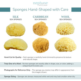 NEPTUNE sponge in hand demonstrating 5–6 inch size and easy handling benefit