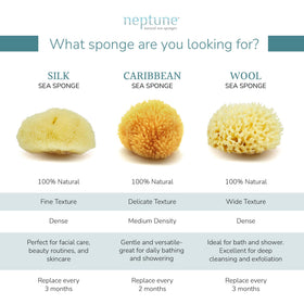 NEPTUNE sponge in a spa bath scene conveying relaxing lather and sustainable luxury