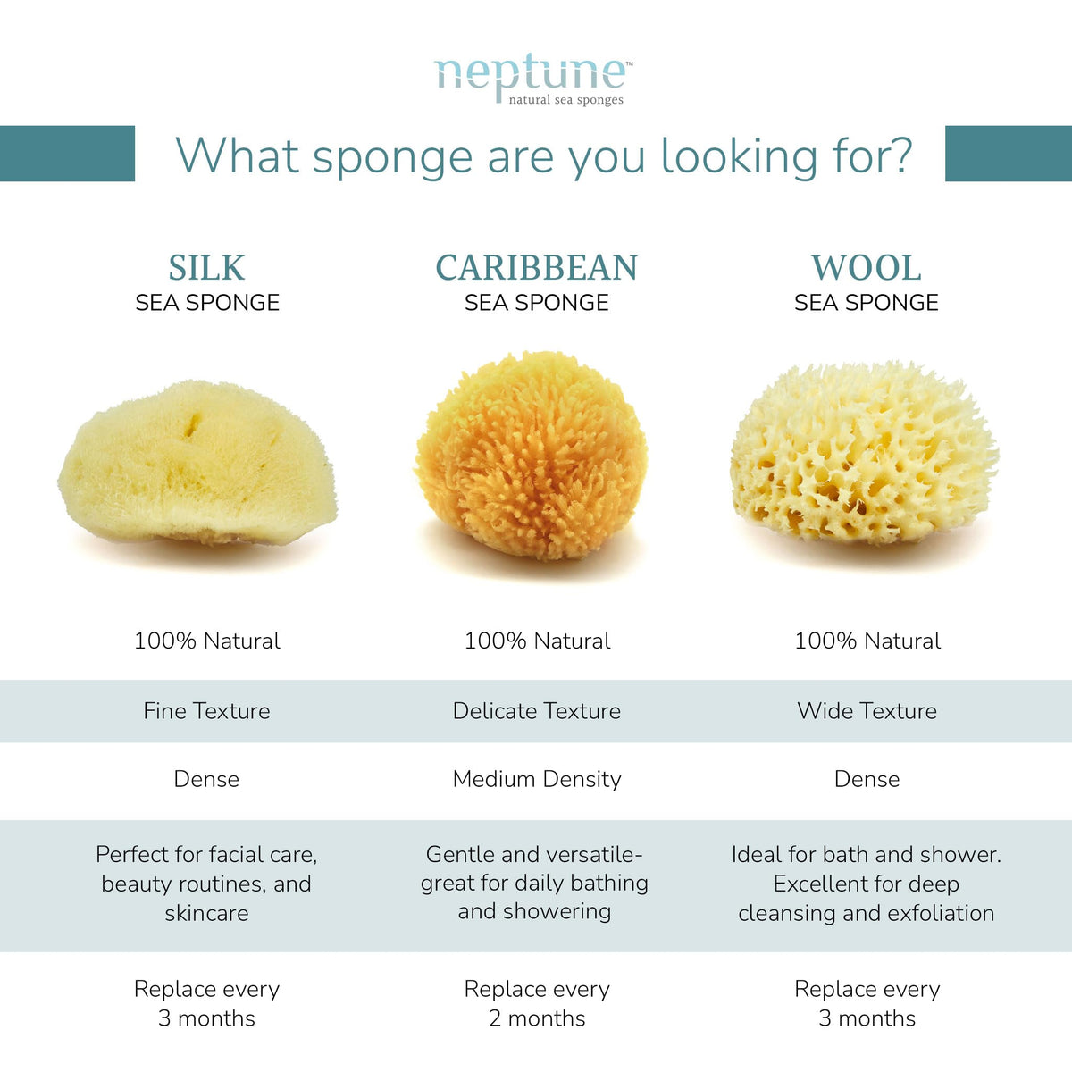 NEPTUNE sponge in hand under water demonstrating rich lather and cleansing
