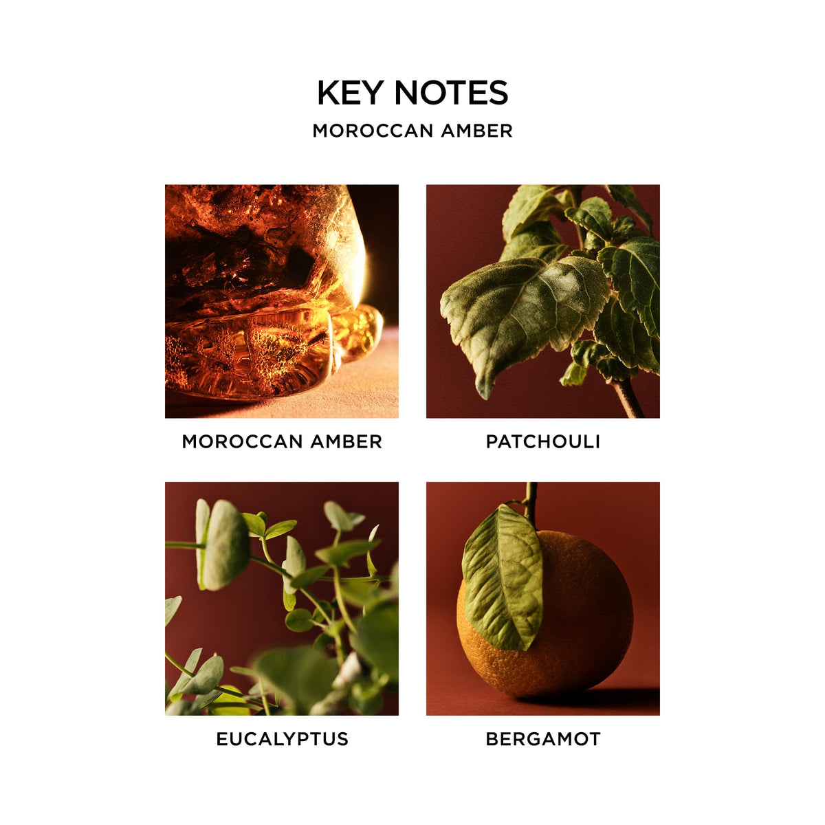 NEST New York label close-up revealing fragrance notes and ingredients