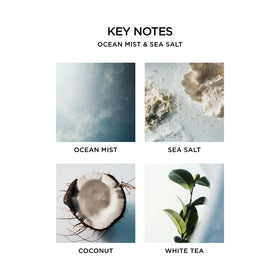 NEST New York foam texture on hand demonstrating gentle cleansing benefit