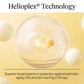 Neutrogena ingredients label closeup showing avobenzone and SPF formulation