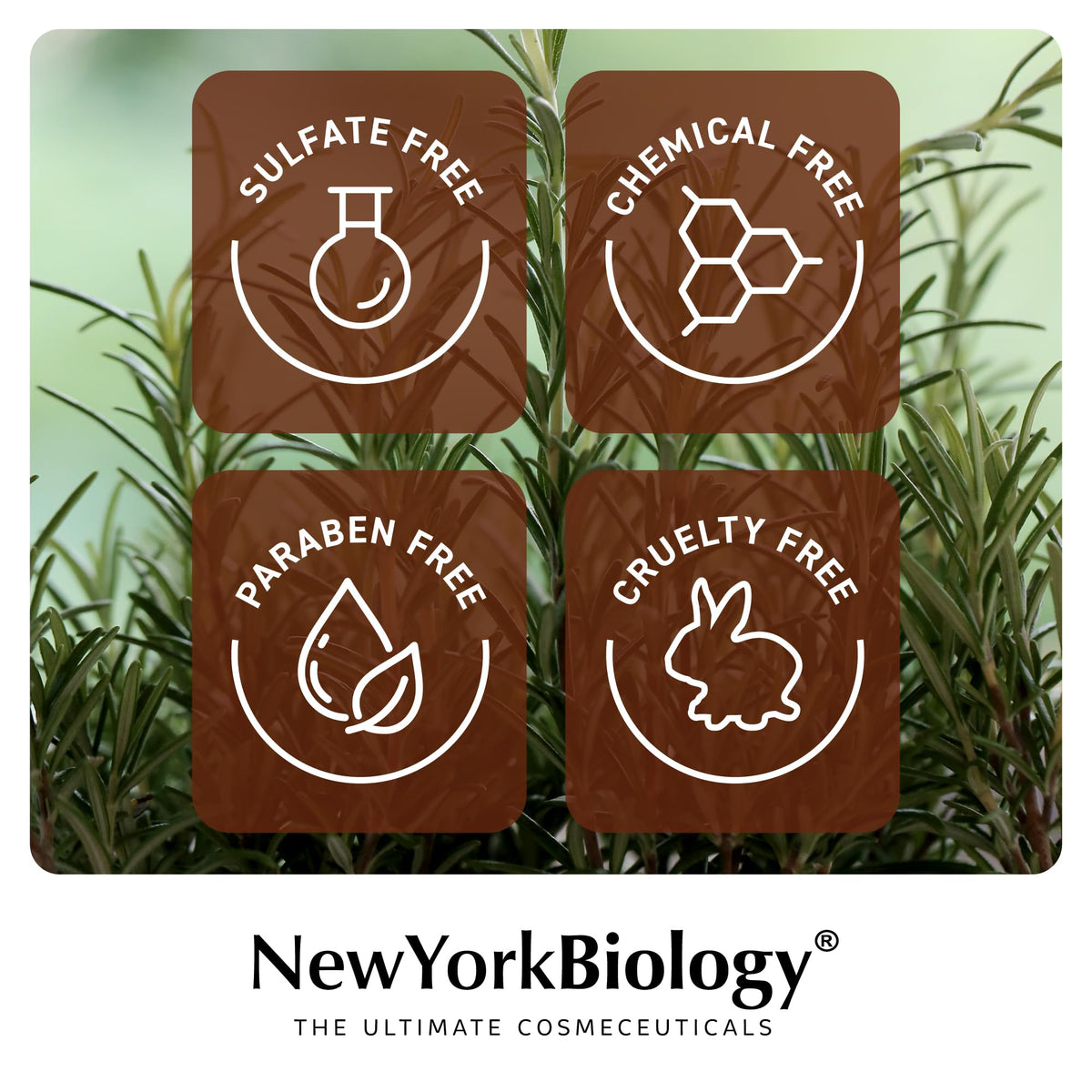 New York Biology shampoo placed in bathroom showing hydrated hair routine