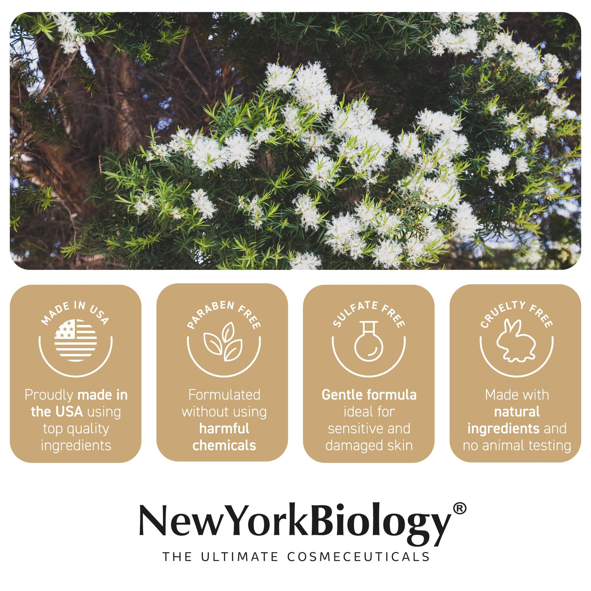 New York Biology foot cream on bathroom shelf for nightly care routine
