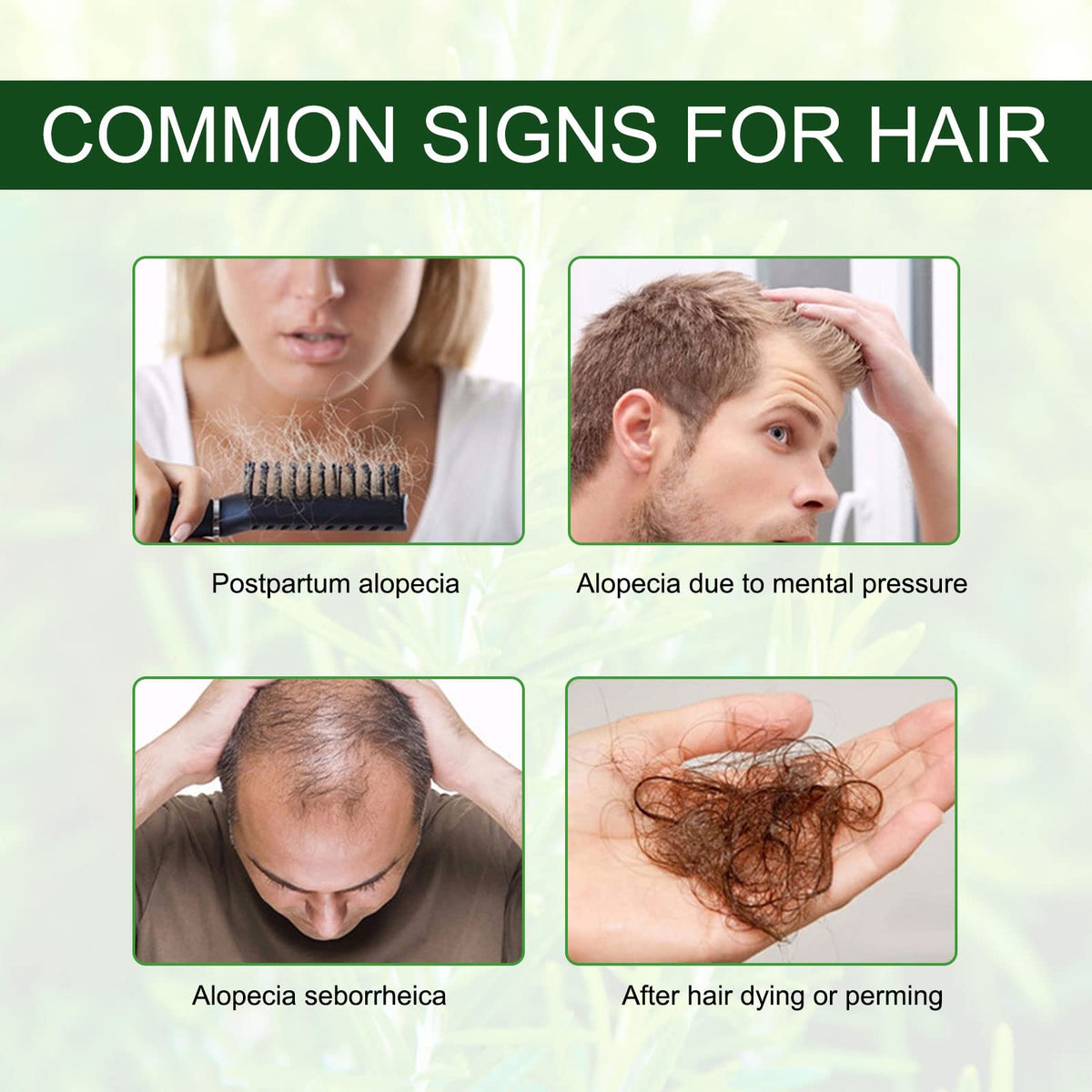 NIFEISHI oil droplet on scalp during application improving circulation and comfort