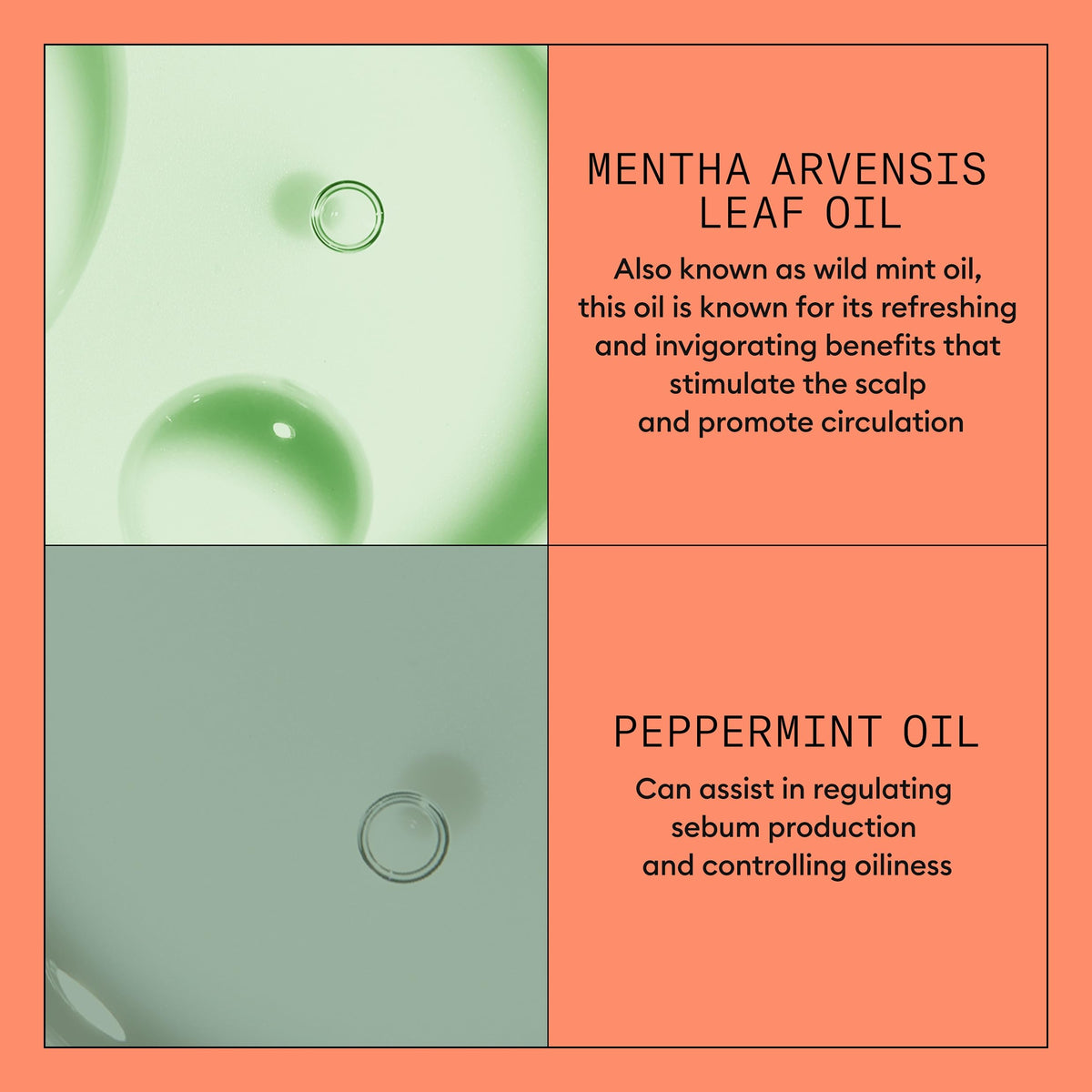 Nioxin before and after hair appearance illustrating fuller looking results
