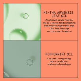 Nioxin before and after hair appearance illustrating fuller looking results