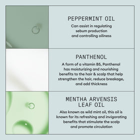 NIOXIN labelled bottle detail emphasizing product name and purpose