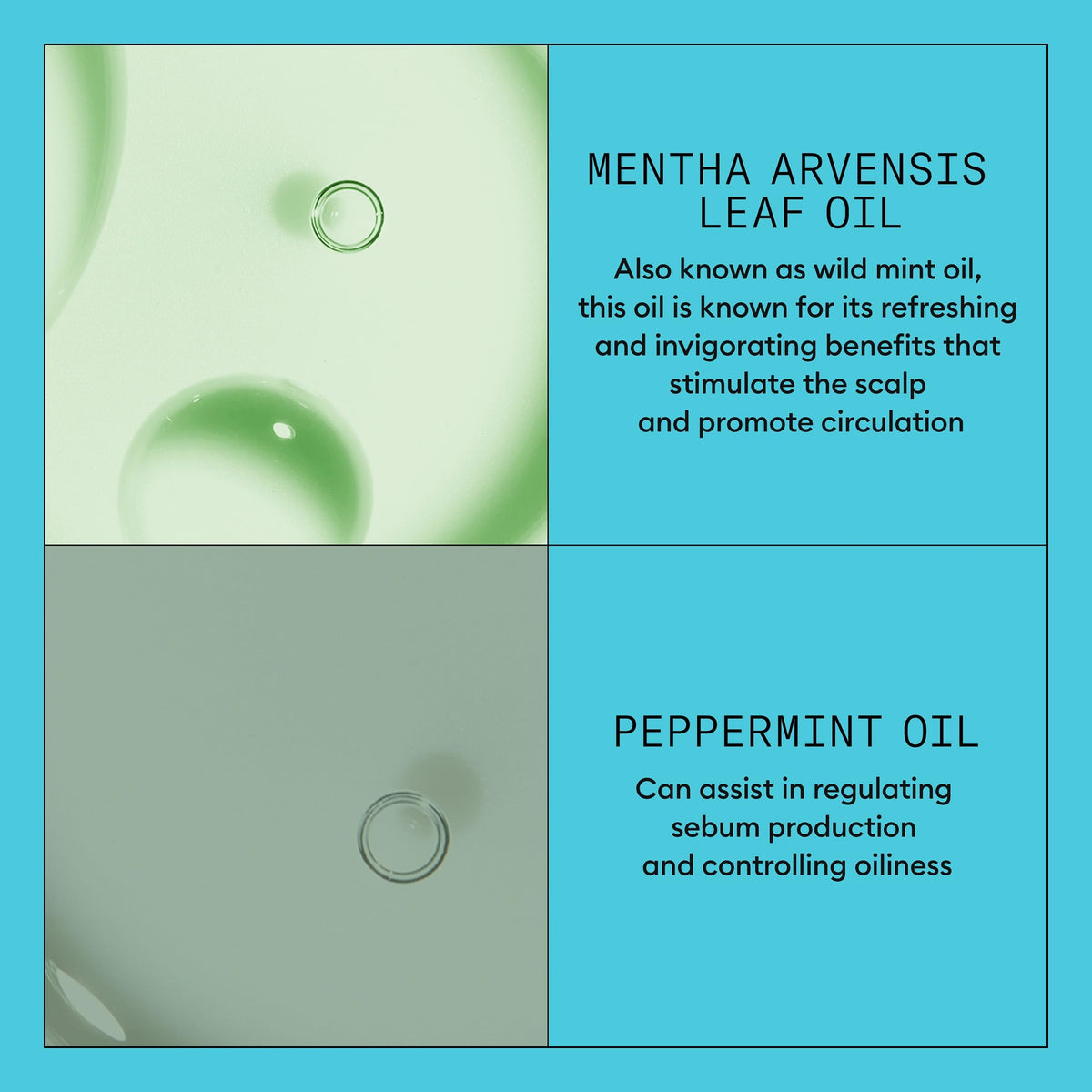 Nioxin botanical ingredients close-up highlighting antioxidants and nourishment