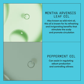 Nioxin botanical ingredients close-up highlighting antioxidants and nourishment