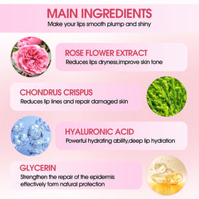 NIYET label close-up listing key ingredients and quality details for ingredient transparency