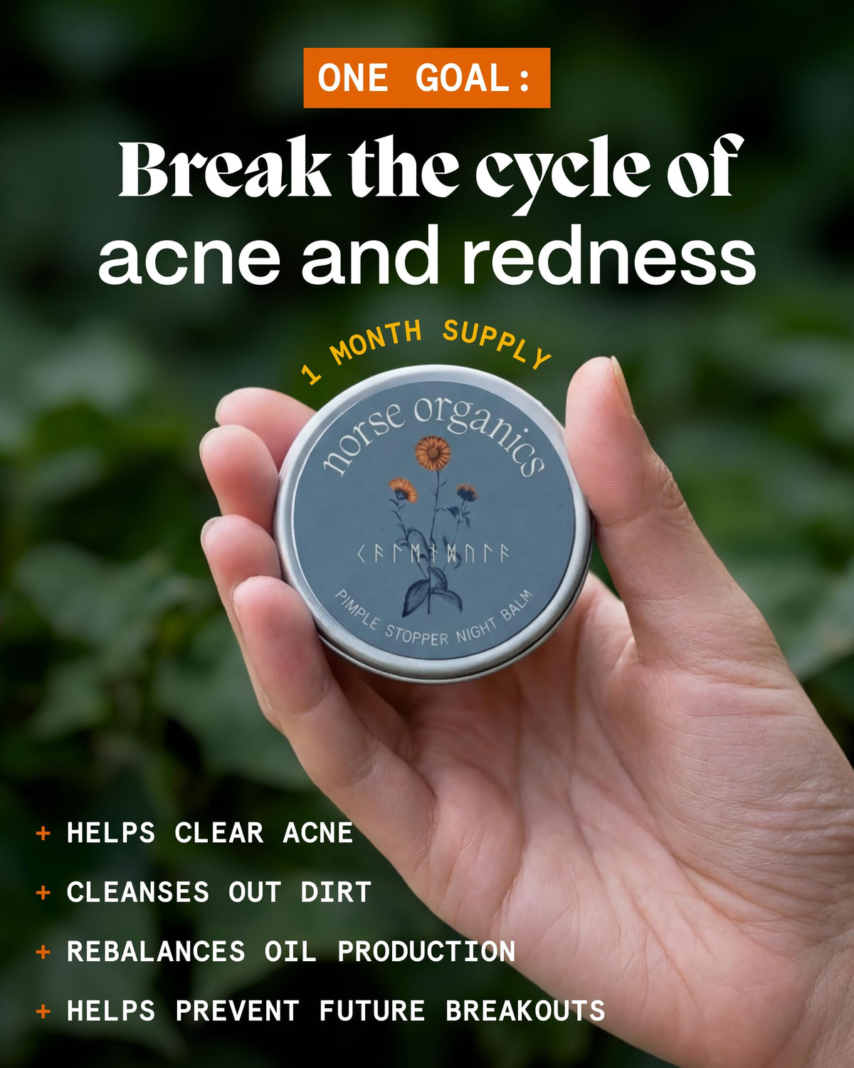 Norse Organics key Arctic botanicals displayed highlighting natural actives
