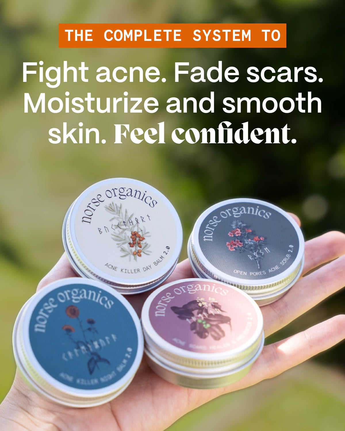 Norse Organics Day and Night balms close-up texture highlighting nourishing absorption