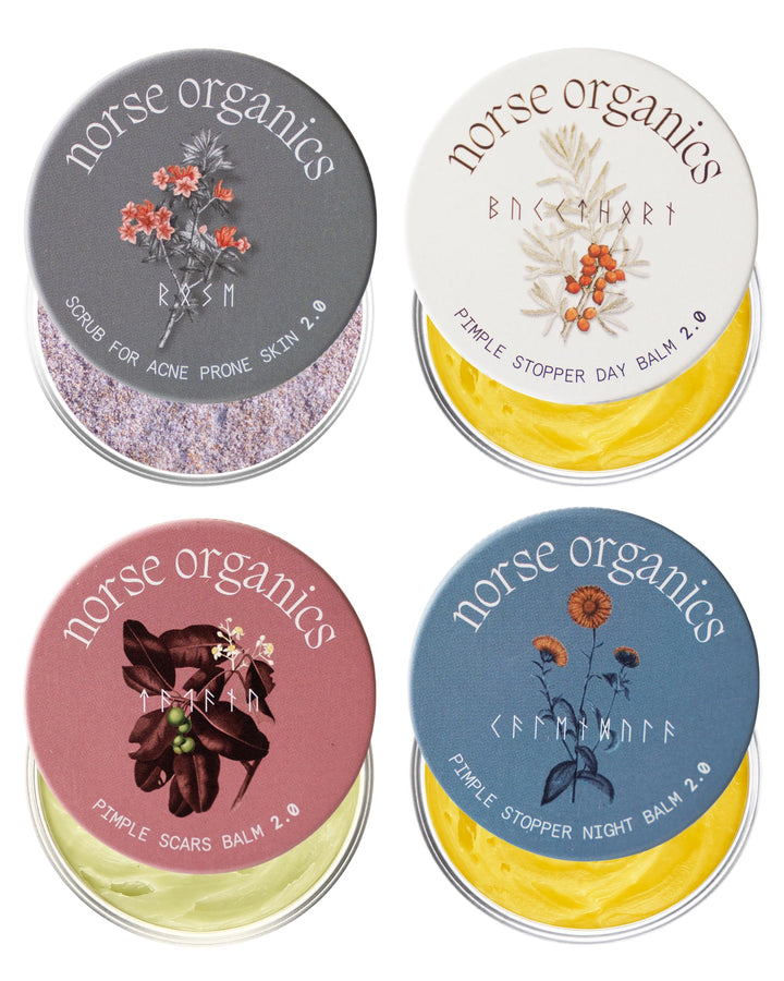 Norse Organics complete kit front packaging showing full four-piece acne system benefits